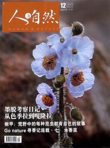 刊物在星空体育app官网登录入口新闻